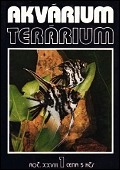 AKVRIUM TERRIUM