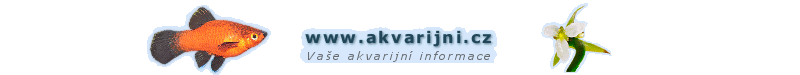 www.akvarijni.cz